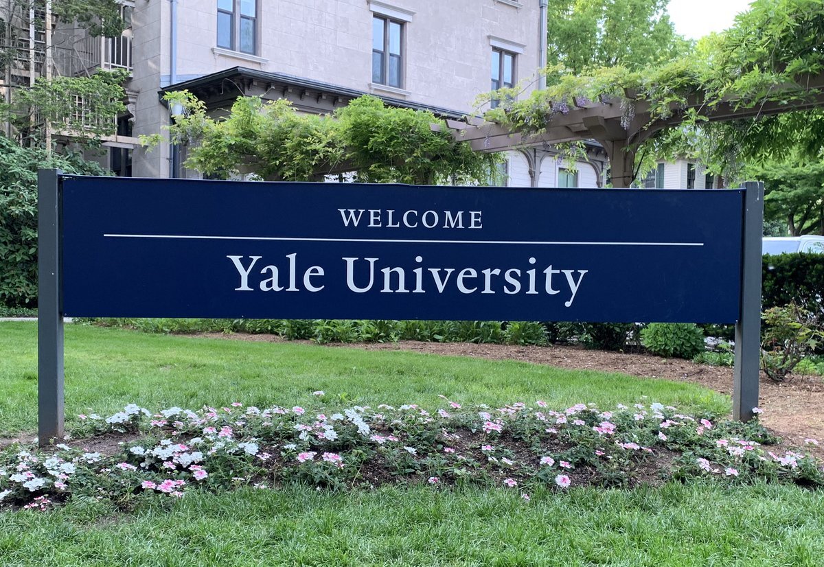 Yale sign larger